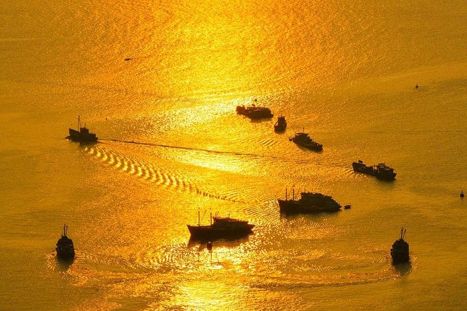 Sunset and Evening With Glowing Plankton With Cat Ba Local Adventure - Logistical Information for the Tour