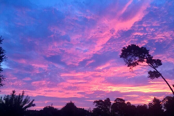 Sunset and Fireworks River Paddle Cruise - The Sum Up: Is It Worth It?