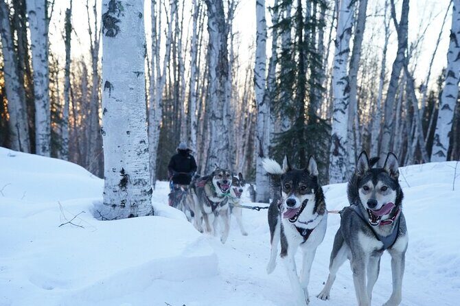 Sunset and Full Moon or Extended Ridge Top Mush - Final Thoughts