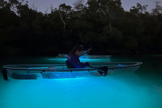 Sunset and Glow Clear Kayak Tour in North Naples - Good To Know