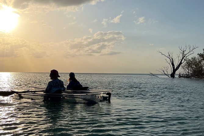 Sunset and Glow Clear Kayak Tour in North Naples - Safety and Accessibility