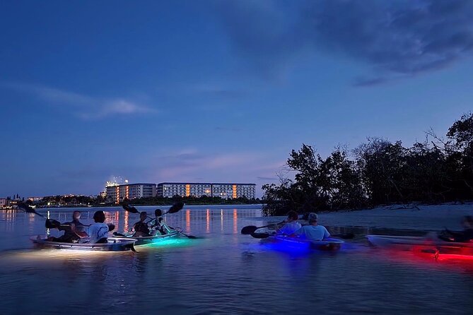 Sunset and Glow Clear Kayak Tour in North Naples - Guest Experiences and Feedback