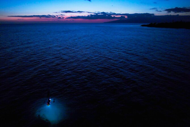 Sunset and Glow Clear Kayak Tour in Olowalu - Accessibility and Accommodations