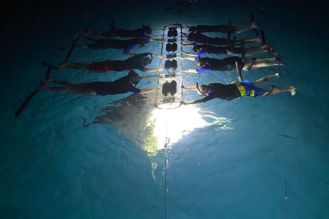 Sunset and Manta Ray Snorkel Adventure - Guest Reviews