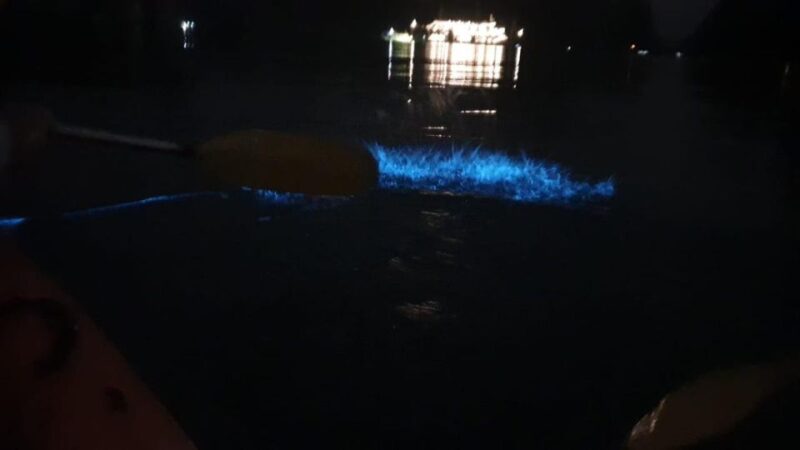 Sunset and Plankton Bioluminescent Night Kayaking - Inclusions and Exclusions