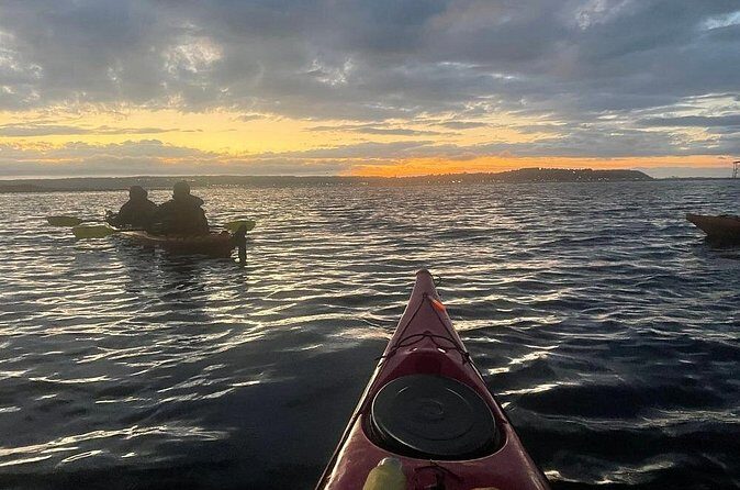 Sunset and Wildlife Kayak Tour at Fort Flagler State Park - The Value of the Tour