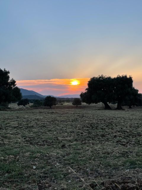 Sunset Aperitif & Ebike Tour in Olive Trees Monumental Park - Key Points