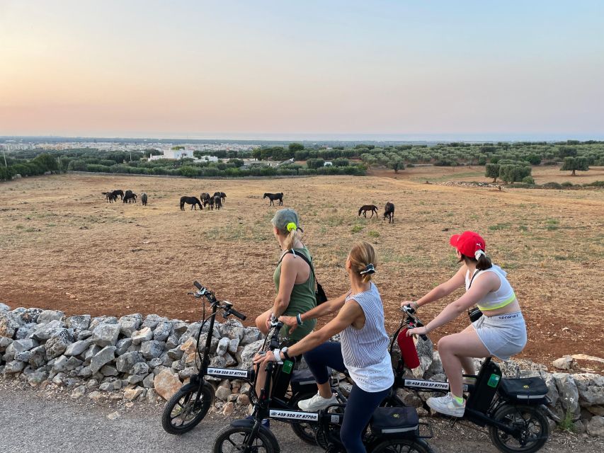 Sunset Aperitif & Ebike Tour in Olive Trees Monumental Park - Sunset Aperitif Experience