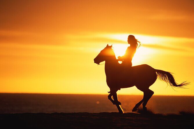 Sunset Beach Horseback Riding - Who Should Consider This Tour?