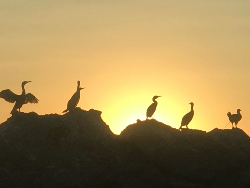 Sunset Boat Tour With Aperitivo & Swim in Natural Park - Parking, Equipment, and Local Food Tasting