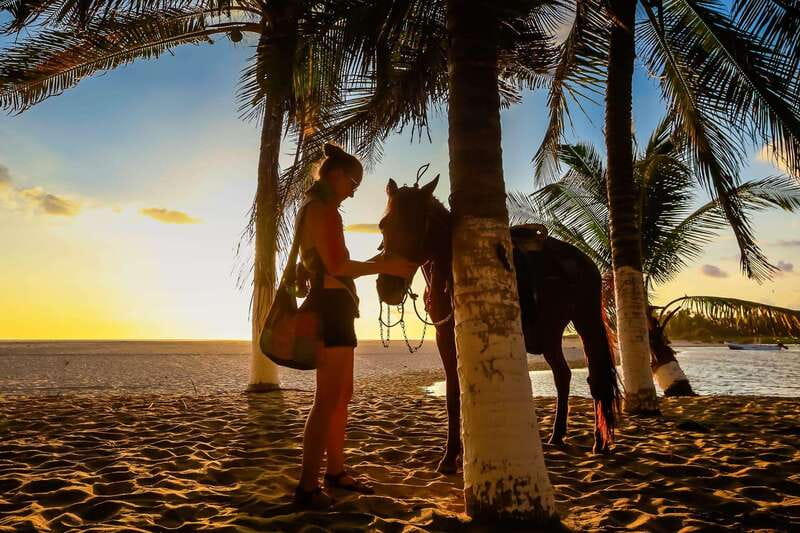 Sunset by Horse on the Beach - The Itinerary: A Step-by-Step Journey