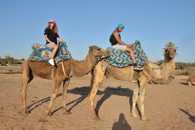 Sunset Camel Ride in Agadir With Transport, Tea and Cakes. - Included Transportation Details