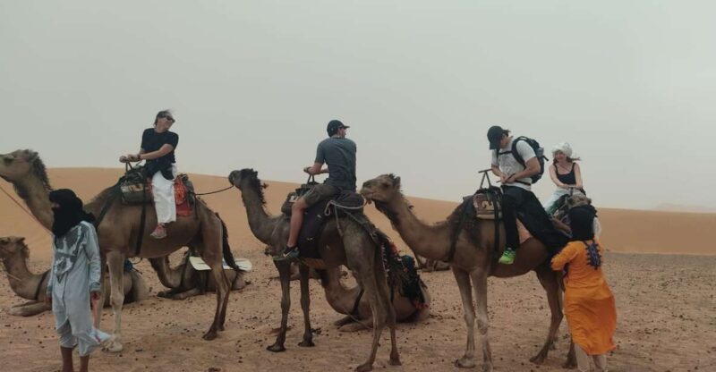 Sunset Camel Ride in Agafay Desert From Marrakech - Good To Know