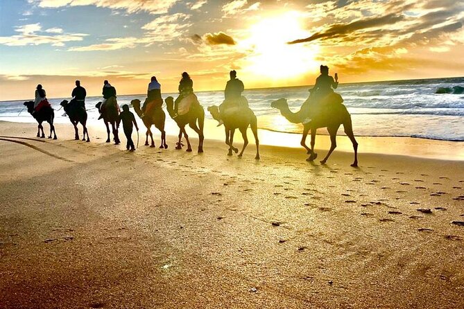 Sunset Camel Ride on Achakkar Beach Including Traditional Dinner - Pickup and Timing