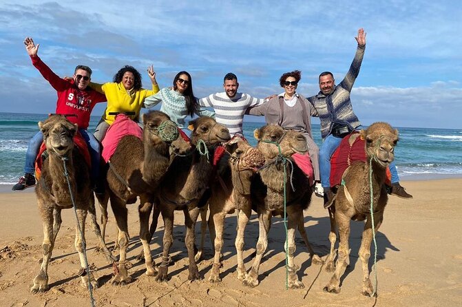 Sunset Camel Ride on Achakkar Beach Including Traditional Dinner - Moroccan Culinary Experience
