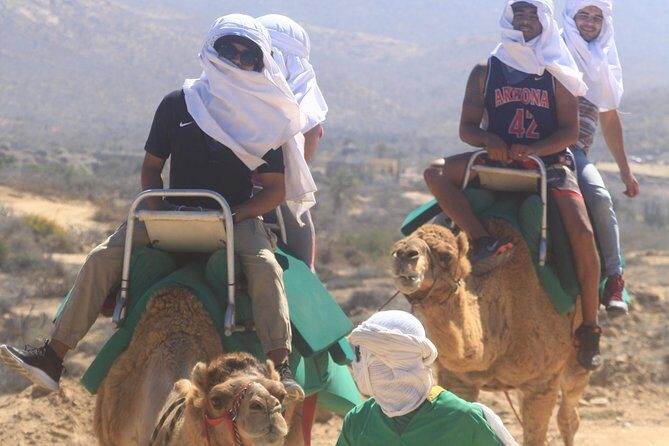 Sunset Camel Ride Tour - The Real Value: What’s Included and What Costs Extra
