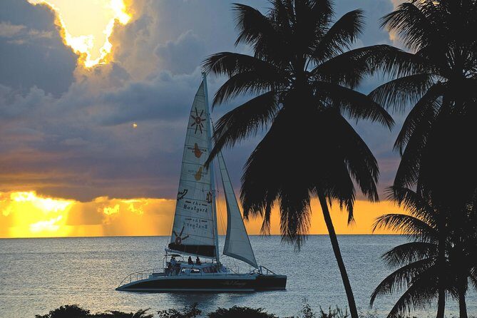 Sunset Catamaran and Snorkeling Cruise At Carlisle Bay - Key Points