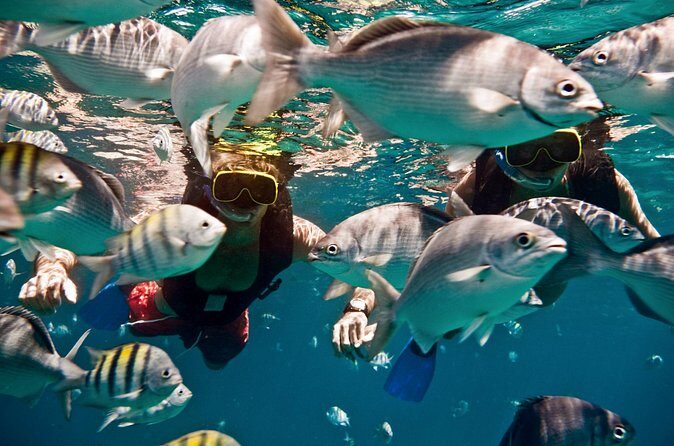 Sunset Catamaran and Snorkeling Cruise At Carlisle Bay - FAQ