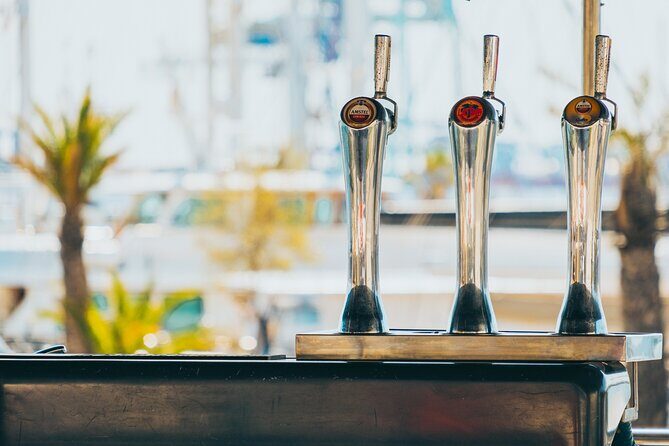 Sunset Catamaran Excursion from Valencia with Boramar - Final Thoughts