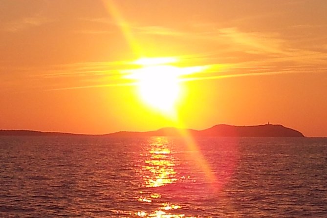 Sunset Catamaran Expedition in Front of Cafe Mambo - Catamaran Highlights and Activities