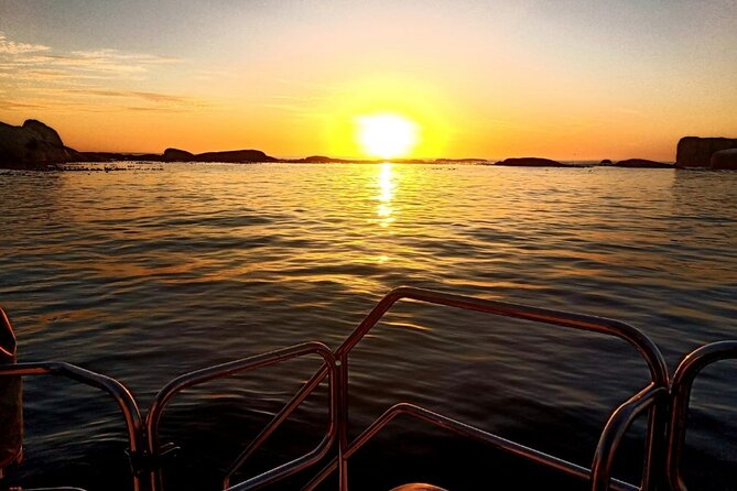 Sunset Champagne Cruise From Cape Town - Meeting and Pickup Information