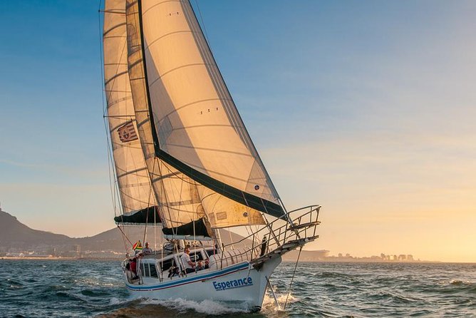 Sunset Champagne Cruise From Cape Town - Guest Feedback and Reviews