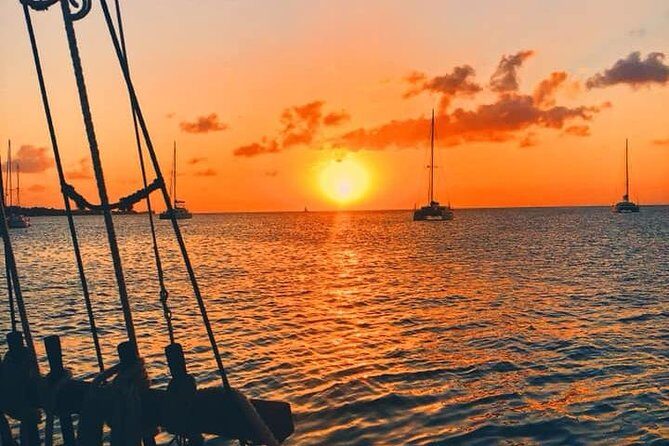 Sunset & Champagne Cruise on a Classic Schooner with boat dogs - The Experience in Detail