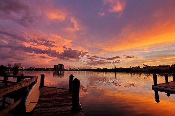 Sunset Clear Kayak or Clear Paddleboard in Orlando - Accessibility and Service Animal Policy