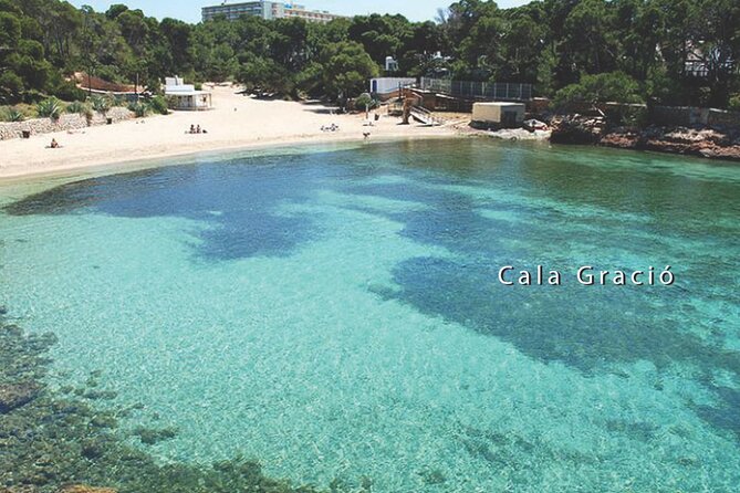 Sunset Cruise All Inclusive (Snorkeling, Paddle Board, Open Bar) - Pricing and Terms