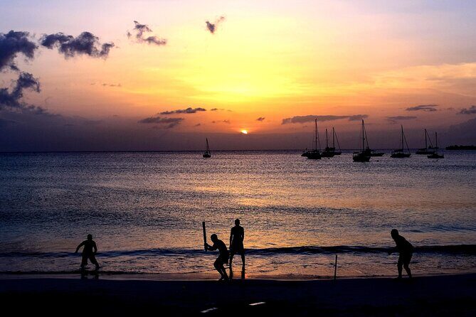 Sunset Cruise and Dinner - An In-Depth Look at the Sunset Cruise and Dinner Experience