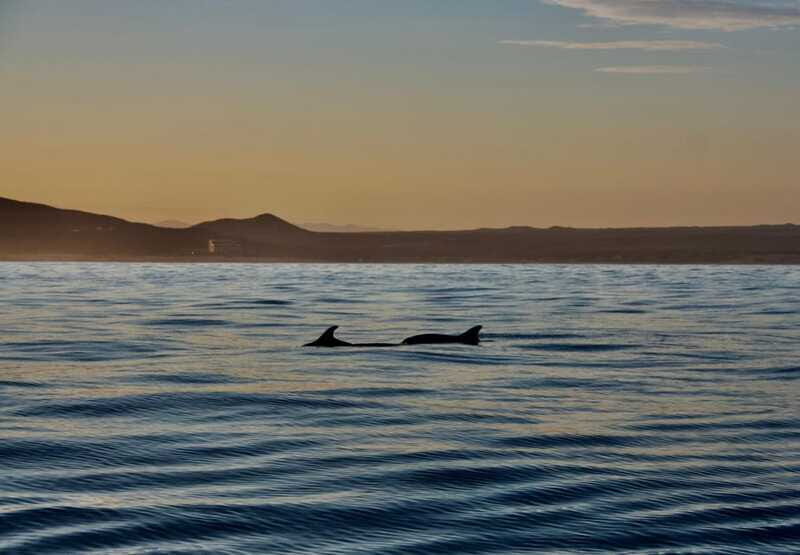 Sunset Cruise in San Jose del Cabo - Final Thoughts: Is It Worth It?