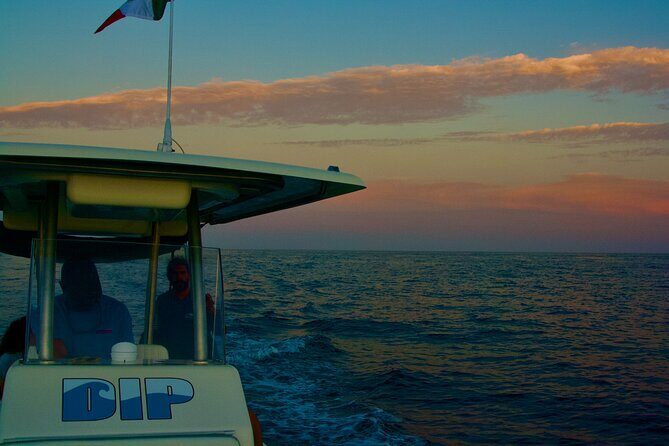 Sunset Cruise in San Jose del Cabo - The Sum Up: Is It Worth It?