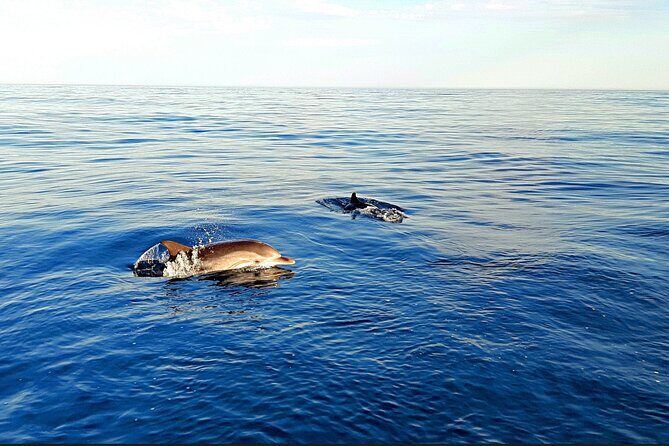 Sunset Cruise Taormina Private - Who Will Love This Tour?