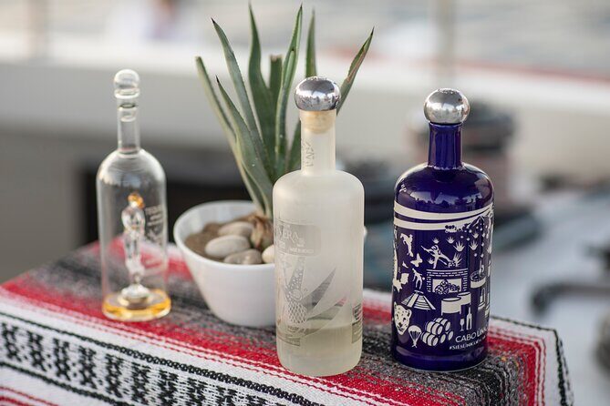 Sunset Cruise Tequila Tasting - Key Points