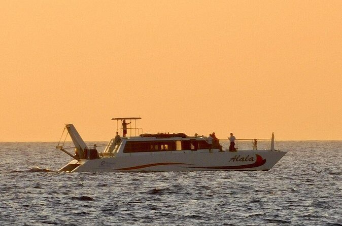Sunset Cruise with the Whales from Kawaihae Harbor - Analyzing the Cost and Value