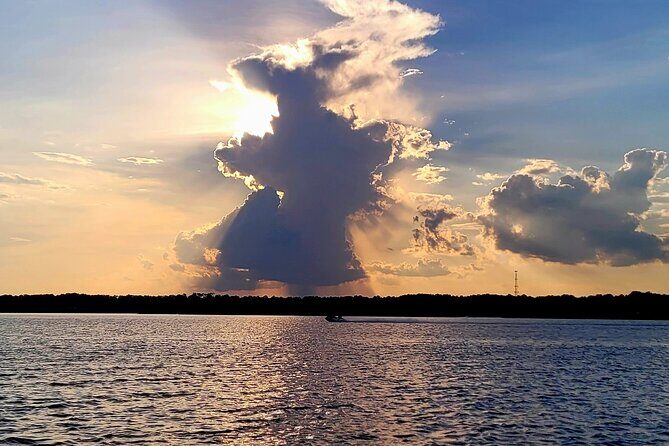 Sunset, Dolphin/Birding On A Private Guided Savannah Cruise - An In-Depth Look at the Savannah Sunset Dolphin and Birding Cruise