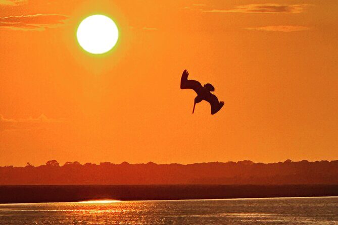 Sunset Dolphin Cruise (options for public of private) - Final Thoughts: Is It Worth It?