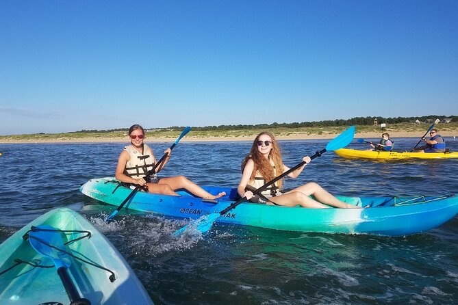 Sunset Dolphin Kayak Tours - Recap