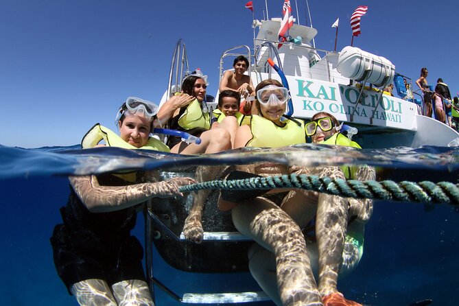 Sunset Dolphin Watch Cruise Review - Good To Know
