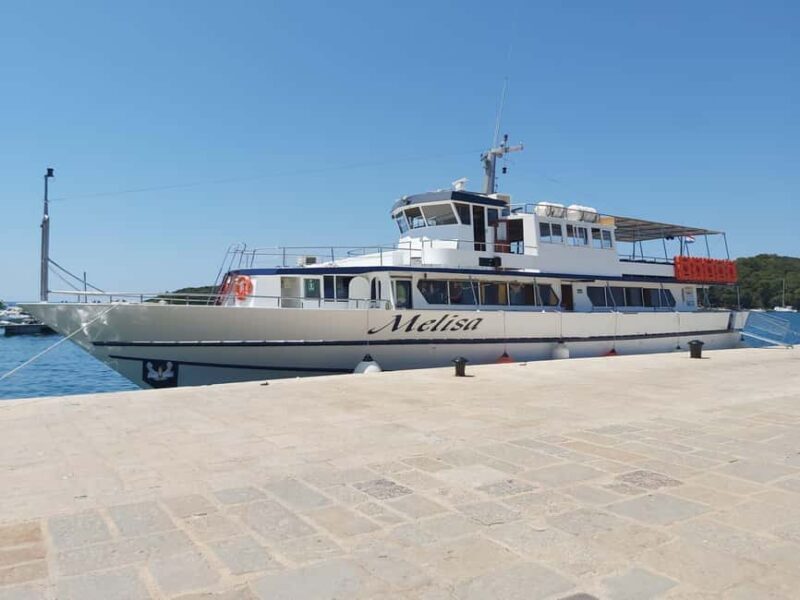 SUNSET DOLPHIN WATCHING BOAT TOUR - Sunset Dolphin Watching Boat Tour in Istria: A Detailed Review