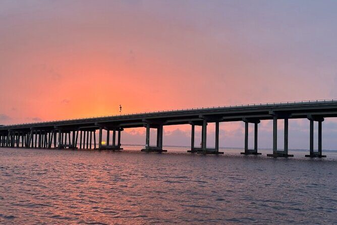 Sunset Dolphin Watching Tour - The Sum Up