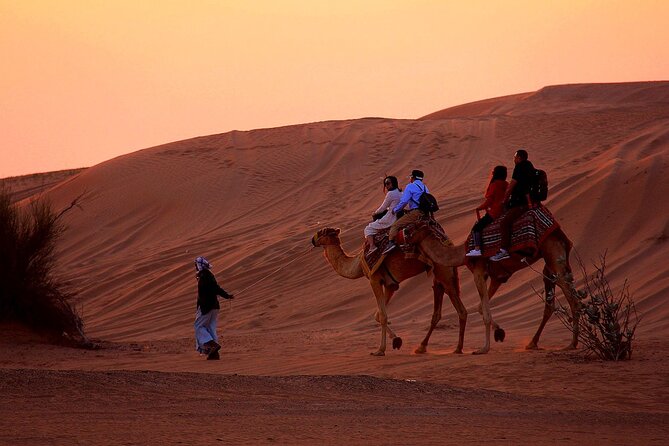 Sunset Evening Safari,Camel Ride,Live Shows and BBQ Dinner With No Hidden Charge - Safe and Comfortable Transportation