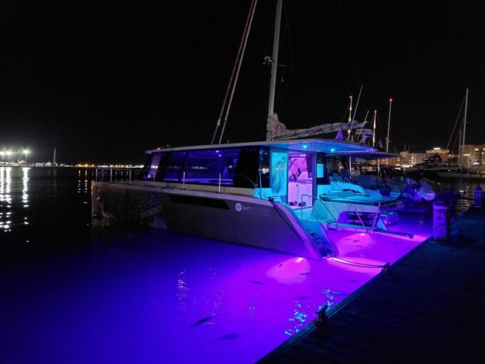 Sunset From the Middle of Palma Bay - Eco-friendly Catamaran Navigation
