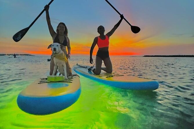 SUNSET GLOW Tour PaddleBoard - Accessibility and Transportation