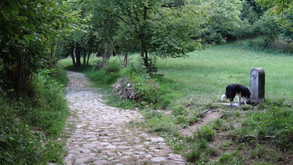 Sunset Hike in Lecco With Craft Beer Tasting - Recommended Attire