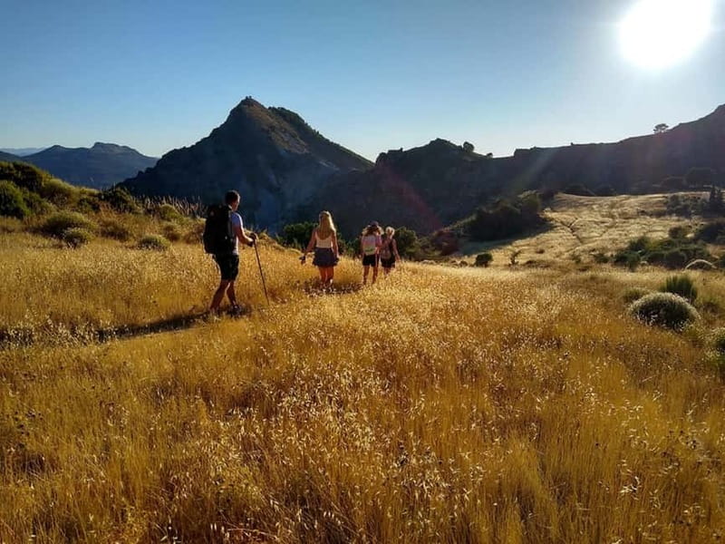 Sunset Hike & Summit Sierra Nevada with pup - Authentic Experiences and Travel Tips