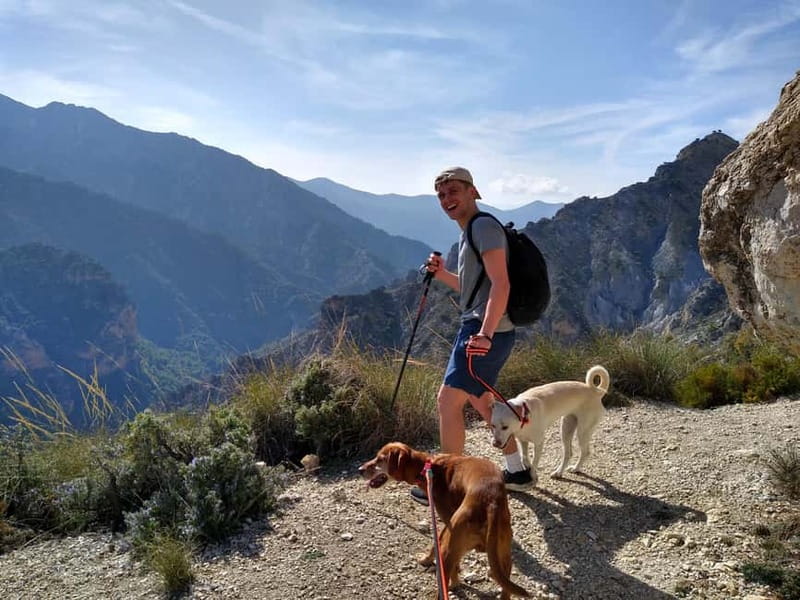 Sunset Hike & Summit Sierra Nevada with pup - The Sum Up