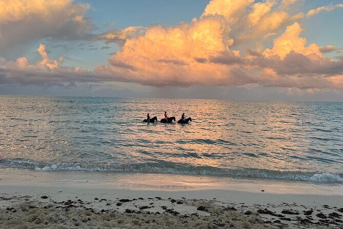 Sunset Horse Ride Experience - The Experience Breakdown