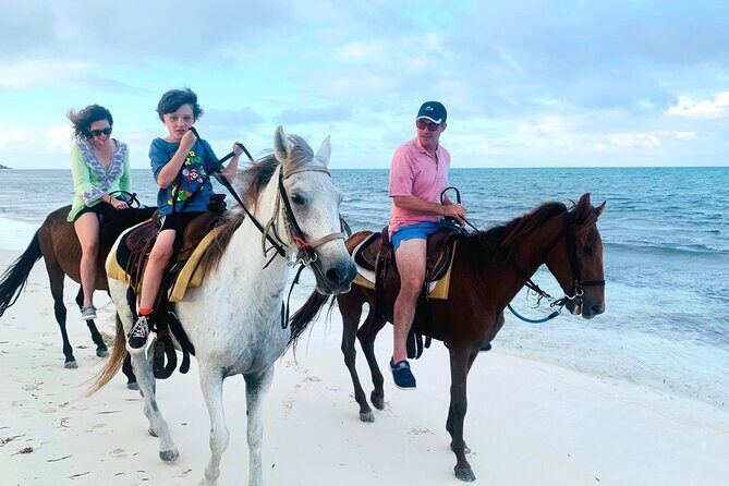 Sunset Horse Ride Experience - Practical Tips for Travelers