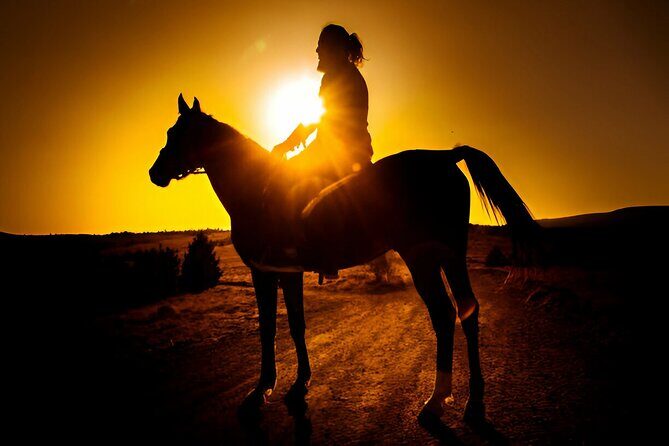 Sunset Horseback Ride at Macao Beach & Forest with Transfers - The Experience: A Detailed Look